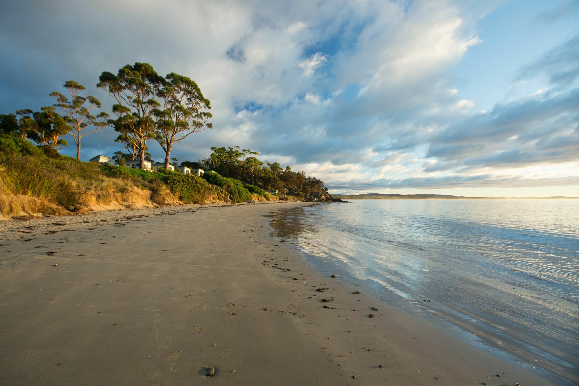 Swansea Beach Chalets Eksteriør billede